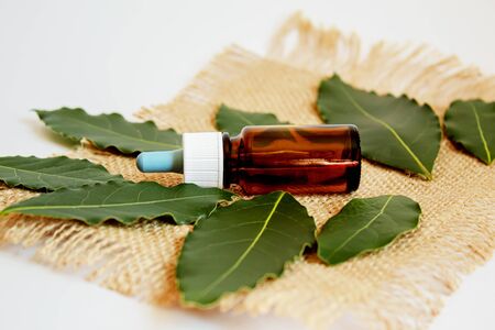 Tea tree essential oil in a small bottle. Selective focus.natureの写真素材