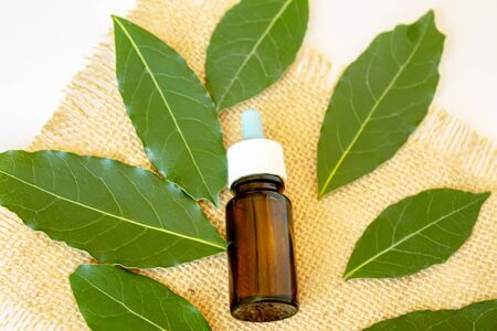 Tea tree essential oil in a small bottle. Selective focus.natureの写真素材