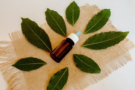 Tea tree essential oil in a small bottle. Selective focus.natureの写真素材