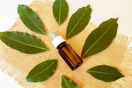 Tea tree essential oil in a small bottle. Selective focus.natureの写真素材