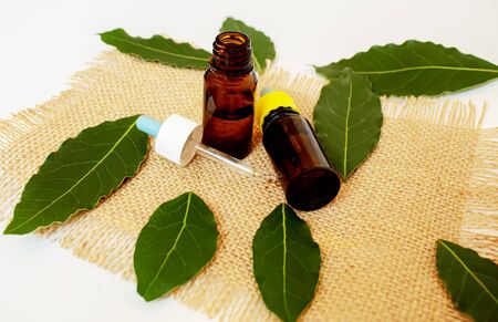 Tea tree essential oil in a small bottle. Selective focus.natureの写真素材