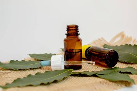 Tea tree essential oil in a small bottle. Selective focus.natureの写真素材