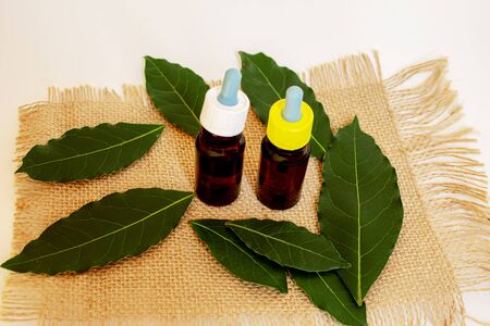 Tea tree essential oil in a small bottle. Selective focus.natureの写真素材