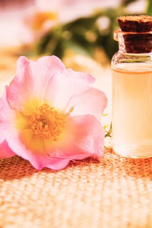 Rose essential oil rosehip Selective focus.natureの写真素材