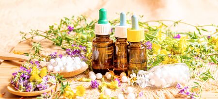 Homeopathy, herbs and their extracts. Selective focus.の写真素材