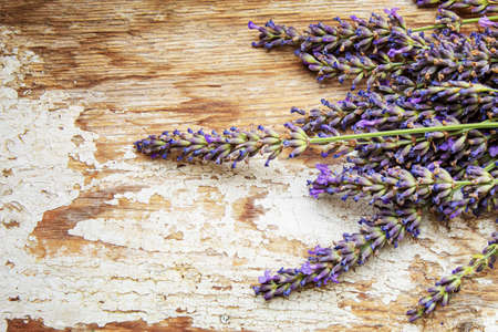 Lavender essential oil in a small bottle. Selective focus. nature.