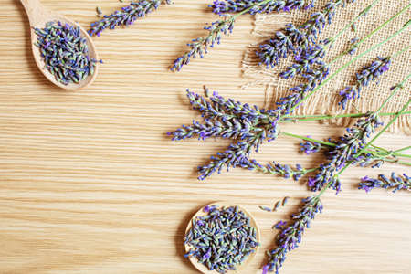 Lavender essential oil in a small bottle. Selective focus. nature.の写真素材