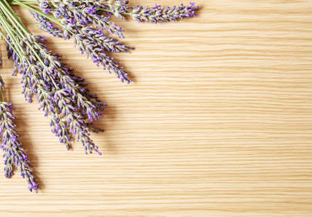 Lavender essential oil in a small bottle. Selective focus. nature.の写真素材