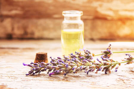 Lavender essential oil in a small bottle. Selective focus. nature.の写真素材