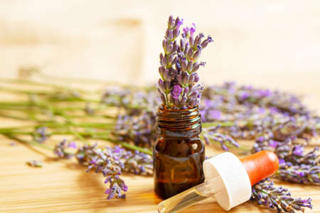 Lavender essential oil in a small bottle. Selective focus. nature.の写真素材