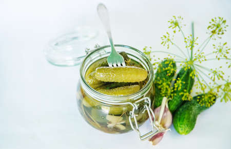 preservation of fresh house cucumbers. Selective focus. natureの写真素材