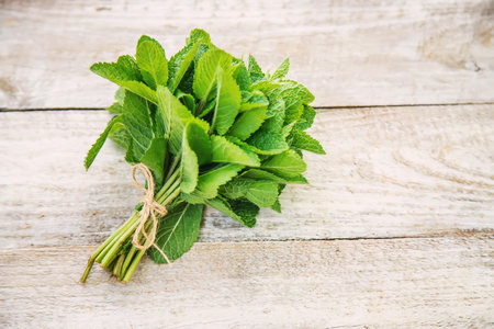 Fresh homemade greens from the garden. Selective focus.nature