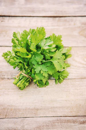 Fresh homemade herbs from the parsley garden. Selective focus. nature.の写真素材