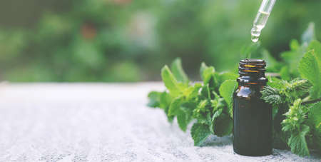 Peppermint essential oil in a small bottle. Selective focus. nature.の写真素材