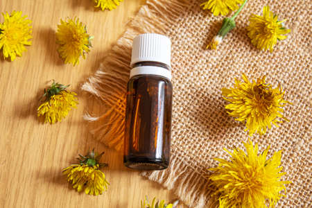 Celandine dandelion extract in a littel bottle, treatment, medicine, tincture. selective focus.natureの写真素材