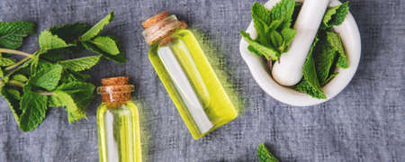 medicinal herbs. mint Selective focusnatureの写真素材