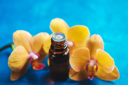 Flowers and plant extracts in small bottles. Selective focus.natureの写真素材