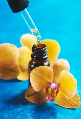Flowers and plant extracts in small bottles. Selective focus.natureの写真素材