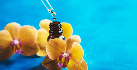 Flowers and plant extracts in small bottles. Selective focus.natureの写真素材
