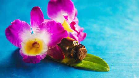 Flowers and plant extracts in small bottles. Selective focus.natureの写真素材