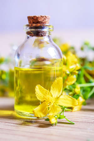 extract St. John's wort in a small jar. Selective focus.natureの写真素材