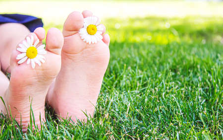 Children's feet with chamomile on green grass. Selective focus. natureの写真素材