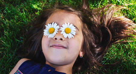 girl is holding chamomile flowers in her hands. Selective focus. nature.