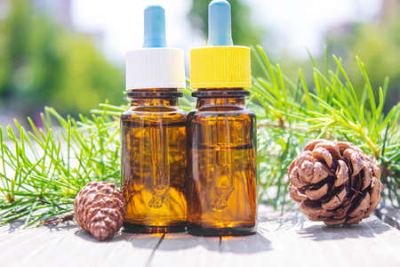 Cedar and spruce essential oil in small glass bottles on wooden background. Selective focus, natureの写真素材