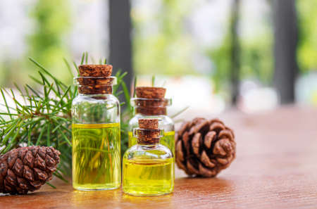 Cedar and spruce essential oil in small glass bottles on wooden background. Selective focus, natureの写真素材
