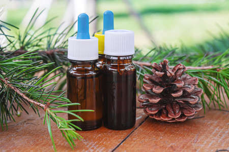 Fir tree essential oil in small bottles. Selective focus.natureの写真素材