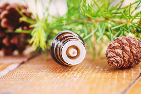 Fir tree essential oil in small bottles. Selective focus.natureの写真素材