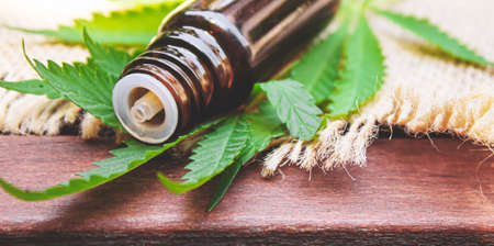 Cannabis extract essential oil in a small bottle. Selective focus. Nature.の写真素材