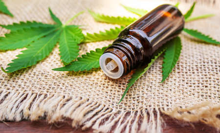 Cannabis extract essential oil in a small bottle. Selective focus. Nature.の写真素材