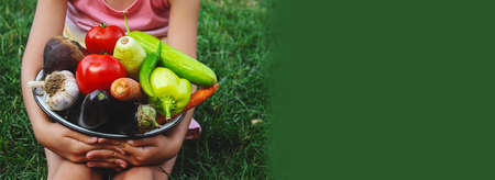 The child holds in his hands a lot of vegetables harvest from the garden. Selective focus. Food.の写真素材