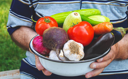 A man in the garden with vegetables in his hands. Selective focus. nature.の写真素材