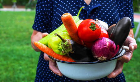 Grandmother in the garden with vegetables in her hands. Selective focus. nature.の写真素材