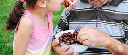 grandparents feed the child with cherries.selective focus.natureの写真素材