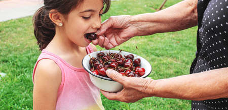 grandparents feed the child with cherries.selective focus.natureの写真素材