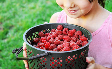child holding raspberries in his hands.selective focus.food
