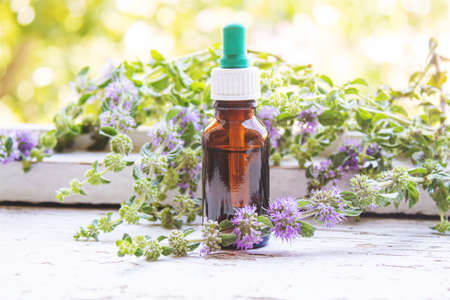 Thyme essential oil in a small bottle. selective focus .natureの写真素材