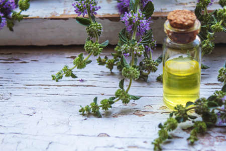 Thyme essential oil in a small bottle. selective focus .nature
