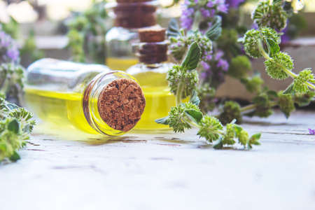 Thyme essential oil in a small bottle. selective focus .natureの写真素材