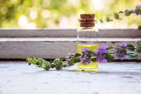 Thyme essential oil in a small bottle. selective focus .nature
