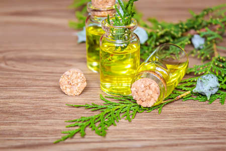 Juniper essential oil in a small bottle. Selective focus. nature.の写真素材