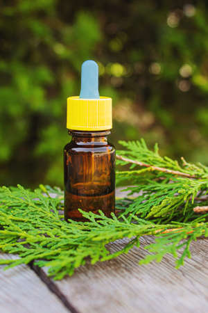 Juniper essential oil in a small bottle. Selective focus. nature.の写真素材