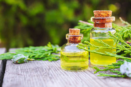 Juniper essential oil in a small bottle. Selective focus. nature.の写真素材