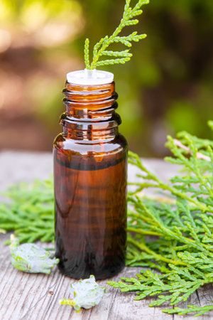 Juniper essential oil in a small bottle. Selective focus. nature.の写真素材