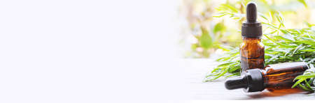 Essential oil of tarragon in a bottle. Selective focus. nature.の写真素材