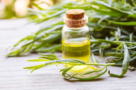 Essential oil of tarragon in a bottle. Selective focus. nature.の写真素材