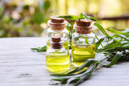 Essential oil of tarragon in a bottle. Selective focus. nature.の写真素材